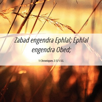 Picture 06 - 1 Chroniques 2:37 LSG - Zabad engendra Ephlal; Ephlal engendra - Bible Verse Picture