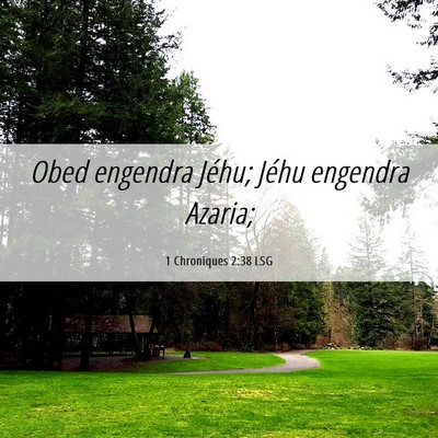 Picture 06 - 1 Chroniques 2:38 LSG - Obed engendra Jéhu; Jéhu engendra - Bible Verse Picture