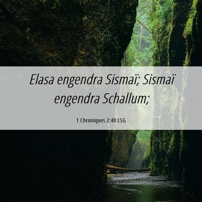 Picture 06 - 1 Chroniques 2:40 LSG - Elasa engendra Sismaï; Sismaï engendra - Bible Verse Picture
