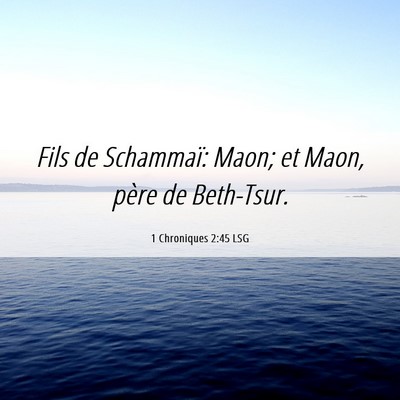 Picture 06 - 1 Chroniques 2:45 LSG - Fils de Schammaï: Maon; et Maon, père de - Bible Verse Picture
