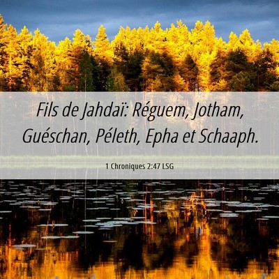 Picture 06 - 1 Chroniques 2:47 LSG - Fils de Jahdaï: Réguem, Jotham, Guéschan, - Bible Verse Picture