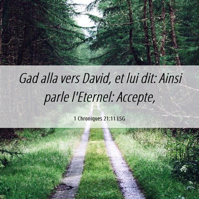 Picture 06 - 1 Chroniques 21:11 LSG - Gad alla vers David, et lui dit: Ainsi parle - Bible Verse Picture