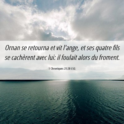 Picture 06 - 1 Chroniques 21:20 LSG - Ornan se retourna et vit l'ange, et ses quatre - Bible Verse Picture