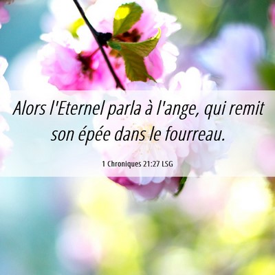 Picture 06 - 1 Chroniques 21:27 LSG - Alors l'Eternel parla à l'ange, qui remit son - Bible Verse Picture