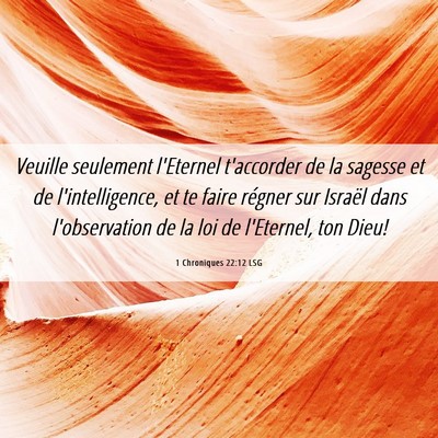 Picture 06 - 1 Chroniques 22:12 LSG - Veuille seulement l'Eternel t'accorder de la - Bible Verse Picture