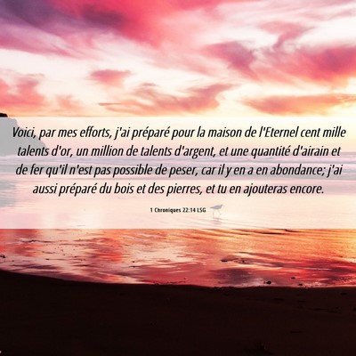 Picture 06 - 1 Chroniques 22:14 LSG - Voici, par mes efforts, j'ai préparé pour la - Bible Verse Picture