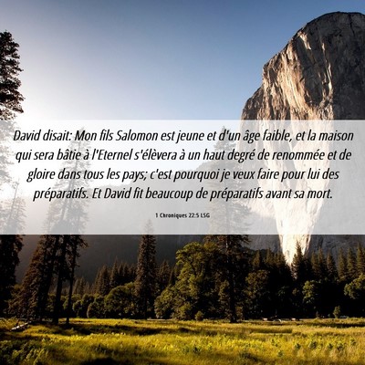 Picture 06 - 1 Chroniques 22:5 LSG - David disait: Mon fils Salomon est jeune et d'un - Bible Verse Picture