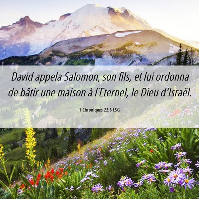 Picture 06 - 1 Chroniques 22:6 LSG - David appela Salomon, son fils, et lui ordonna de - Bible Verse Picture