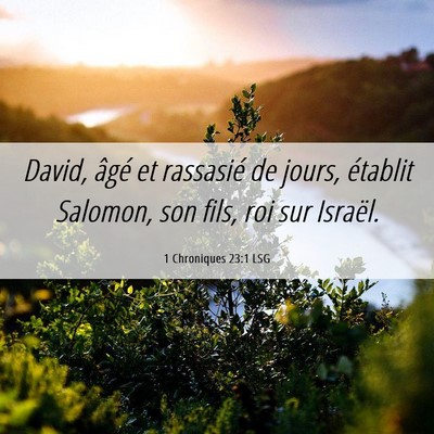 Picture 06 - 1 Chroniques 23:1 LSG - David, âgé et rassasié de jours, établit - Bible Verse Picture
