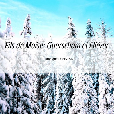 Picture 06 - 1 Chroniques 23:15 LSG - Fils de Moïse: Guerschom et - Bible Verse Picture
