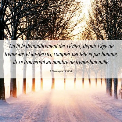 Picture 06 - 1 Chroniques 23:3 LSG - On fit le dénombrement des Lévites, depuis - Bible Verse Picture