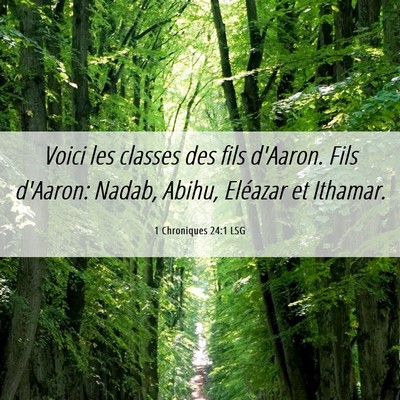 Picture 06 - 1 Chroniques 24:1 LSG - Voici les classes des fils d'Aaron. Fils d'Aaron: - Bible Verse Picture