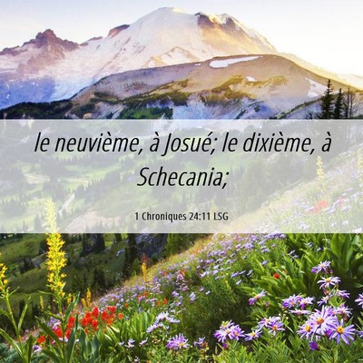 Picture 06 - 1 Chroniques 24:11 LSG - le neuvième, à Josué; le dixième, à - Bible Verse Picture
