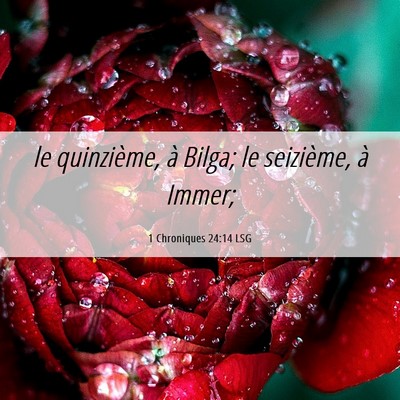 Picture 06 - 1 Chroniques 24:14 LSG - le quinzième, à Bilga; le seizième, à - Bible Verse Picture
