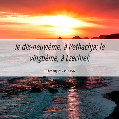 Picture 06 - 1 Chroniques 24:16 LSG - le dix-neuvième, à Pethachja; le vingtième, à - Bible Verse Picture