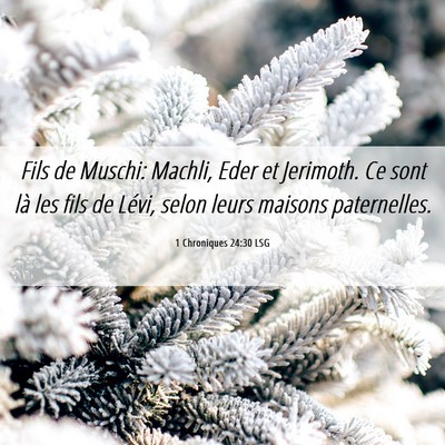 Picture 06 - 1 Chroniques 24:30 LSG - Fils de Muschi: Machli, Eder et Jerimoth. Ce sont - Bible Verse Picture