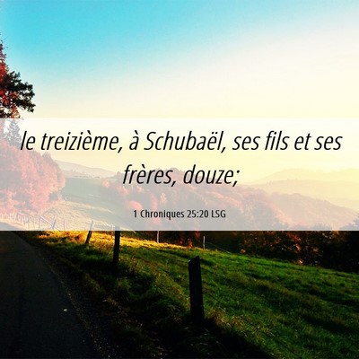 Picture 06 - 1 Chroniques 25:20 LSG - le treizième, à Schubaël, ses fils et ses - Bible Verse Picture