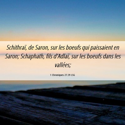 Picture 06 - 1 Chroniques 27:29 LSG - Schithraï, de Saron, sur les boeufs qui - Bible Verse Picture