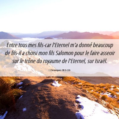 Picture 06 - 1 Chroniques 28:5 LSG - Entre tous mes fils-car l'Eternel m'a donné - Bible Verse Picture