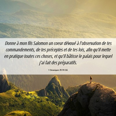Picture 06 - 1 Chroniques 29:19 LSG - Donne à mon fils Salomon un coeur dévoué à - Bible Verse Picture