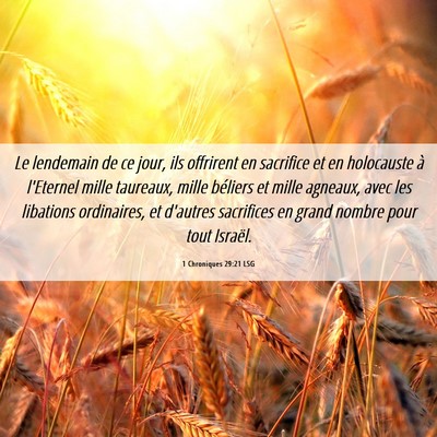 Picture 06 - 1 Chroniques 29:21 LSG - Le lendemain de ce jour, ils offrirent en - Bible Verse Picture