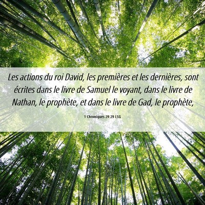 Picture 06 - 1 Chroniques 29:29 LSG - Les actions du roi David, les premières et les - Bible Verse Picture