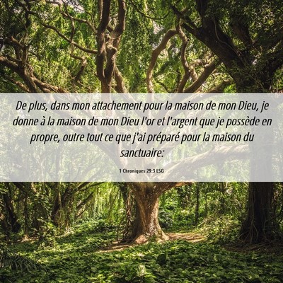 Picture 06 - 1 Chroniques 29:3 LSG - De plus, dans mon attachement pour la maison de - Bible Verse Picture
