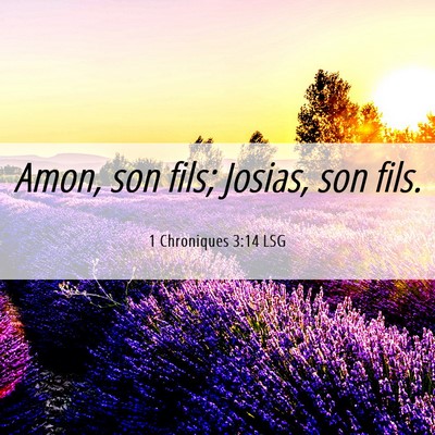Picture 06 - 1 Chroniques 3:14 LSG - Amon, son fils; Josias, son - Bible Verse Picture