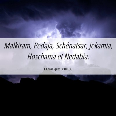 Picture 06 - 1 Chroniques 3:18 LSG - Malkiram, Pedaja, Schénatsar, Jekamia, Hoschama - Bible Verse Picture
