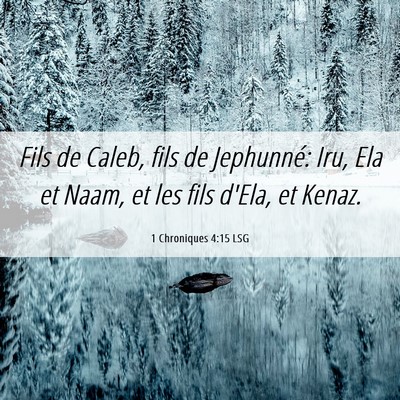 Picture 06 - 1 Chroniques 4:15 LSG - Fils de Caleb, fils de Jephunné: Iru, Ela et - Bible Verse Picture
