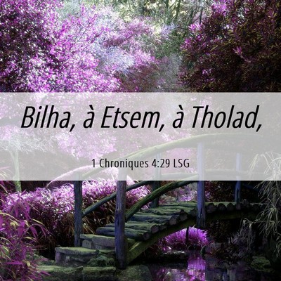 Picture 06 - 1 Chroniques 4:29 LSG - Bilha, à Etsem, à - Bible Verse Picture