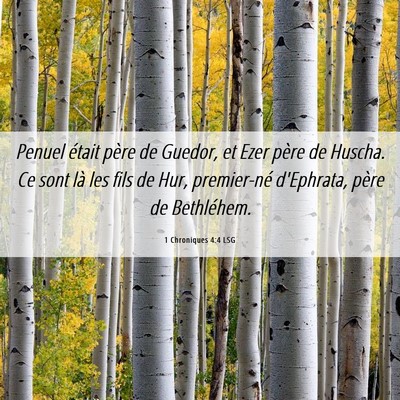 Picture 06 - 1 Chroniques 4:4 LSG - Penuel était père de Guedor, et Ezer père de - Bible Verse Picture