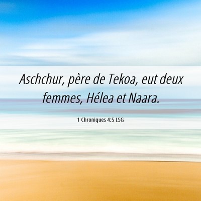 Picture 06 - 1 Chroniques 4:5 LSG - Aschchur, père de Tekoa, eut deux femmes, Hélea - Bible Verse Picture