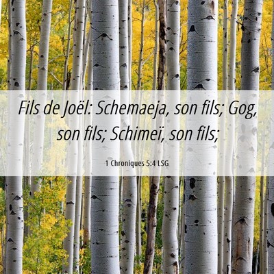 Picture 06 - 1 Chroniques 5:4 LSG - Fils de Joël: Schemaeja, son fils; Gog, son - Bible Verse Picture