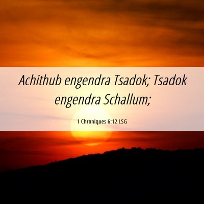 Picture 06 - 1 Chroniques 6:12 LSG - Achithub engendra Tsadok; Tsadok engendra - Bible Verse Picture
