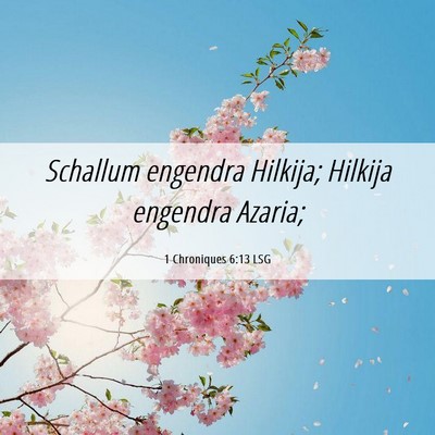 Picture 06 - 1 Chroniques 6:13 LSG - Schallum engendra Hilkija; Hilkija engendra - Bible Verse Picture
