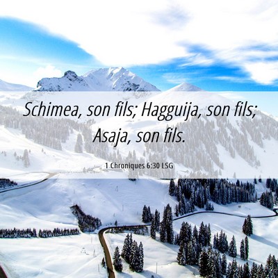 Picture 06 - 1 Chroniques 6:30 LSG - Schimea, son fils; Hagguija, son fils; Asaja, son - Bible Verse Picture