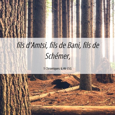 Picture 06 - 1 Chroniques 6:46 LSG - fils d'Amtsi, fils de Bani, fils de - Bible Verse Picture
