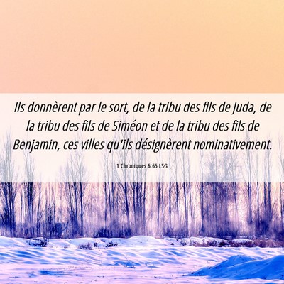 Picture 06 - 1 Chroniques 6:65 LSG - Ils donnèrent par le sort, de la tribu des fils - Bible Verse Picture