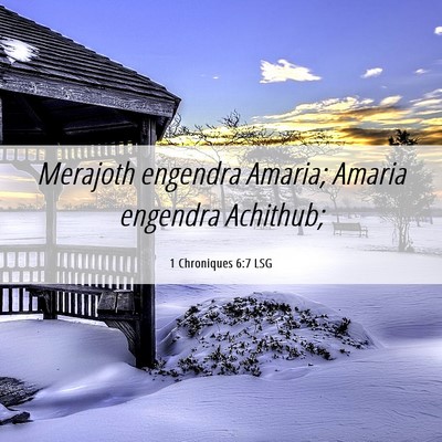 Picture 06 - 1 Chroniques 6:7 LSG - Merajoth engendra Amaria; Amaria engendra - Bible Verse Picture