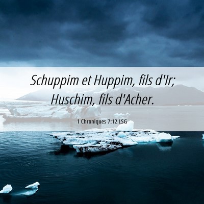 Picture 06 - 1 Chroniques 7:12 LSG - Schuppim et Huppim, fils d'Ir; Huschim, fils - Bible Verse Picture
