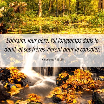 Picture 06 - 1 Chroniques 7:22 LSG - Ephraïm, leur père, fut longtemps dans le - Bible Verse Picture