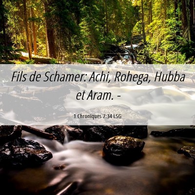 Picture 06 - 1 Chroniques 7:34 LSG - Fils de Schamer: Achi, Rohega, Hubba et Aram. - Bible Verse Picture