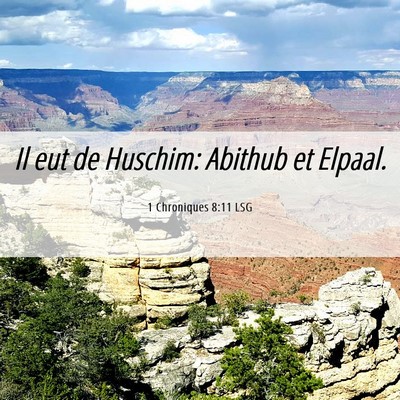 Picture 06 - 1 Chroniques 8:11 LSG - Il eut de Huschim: Abithub et - Bible Verse Picture