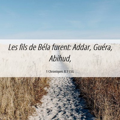 Picture 06 - 1 Chroniques 8:3 LSG - Les fils de Béla furent: Addar, Guéra, - Bible Verse Picture