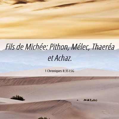 Picture 06 - 1 Chroniques 8:35 LSG - Fils de Michée: Pithon, Mélec, Thaeréa et - Bible Verse Picture