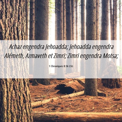 Picture 06 - 1 Chroniques 8:36 LSG - Achaz engendra Jehoadda; Jehoadda engendra - Bible Verse Picture