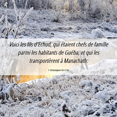 Picture 06 - 1 Chroniques 8:6 LSG - Voici les fils d'Echud, qui étaient chefs de - Bible Verse Picture