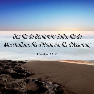 Picture 06 - 1 Chroniques 9:7 LSG - Des fils de Benjamin: Sallu, fils de Meschullam, - Bible Verse Picture