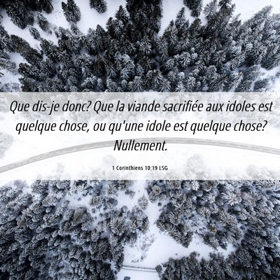 Picture 06 - 1 Corinthiens 10:19 LSG - Que dis-je donc? Que la viande sacrifiée aux - Bible Verse Picture